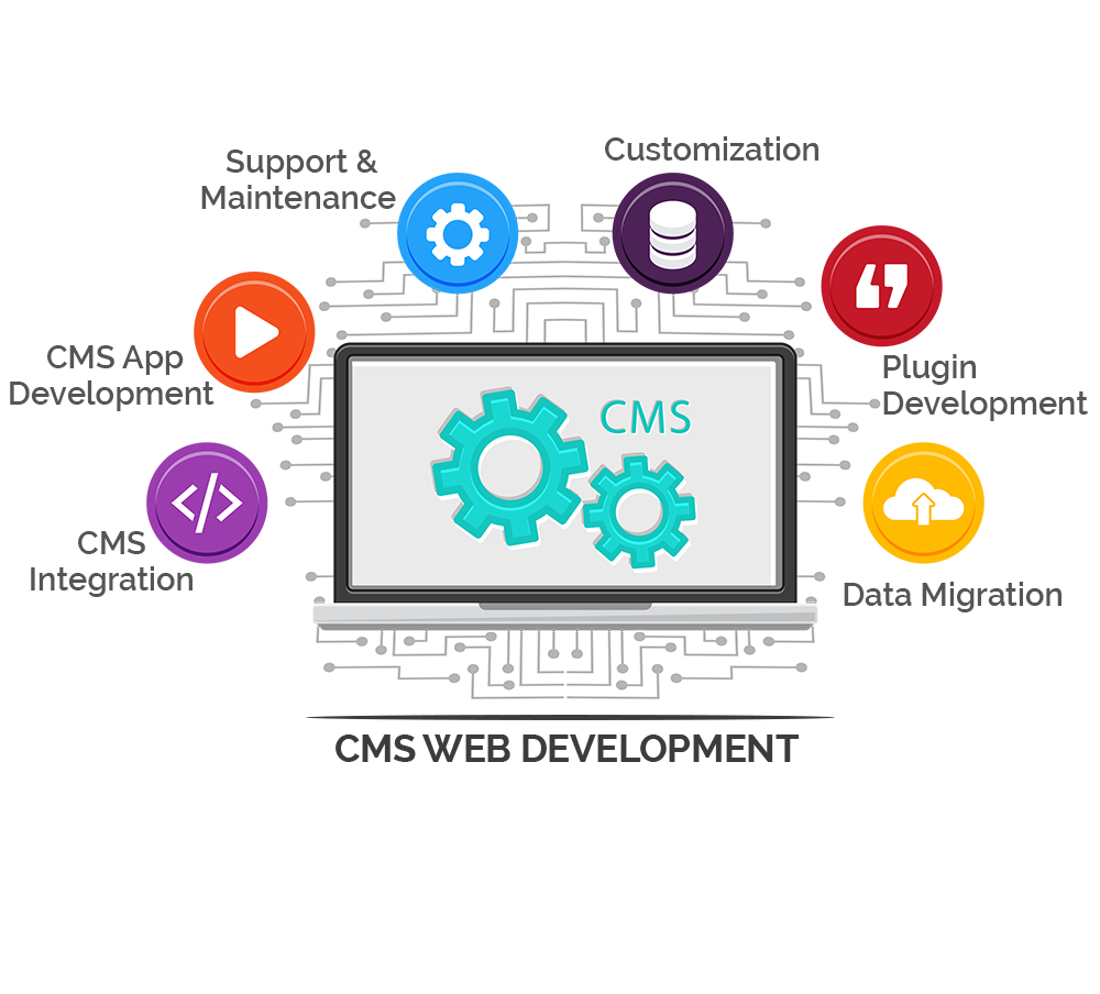 CMS Web Development 